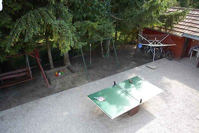 Ferienwohnung mit Tischtennis und Pool