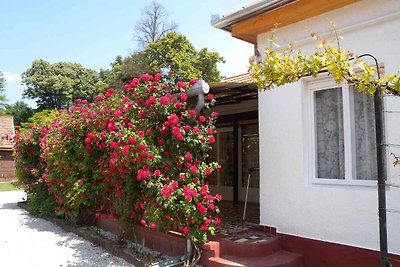 Ferienhaus mit gemütliche Terrasse und