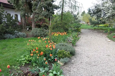 Studio auf dem Bauernhof