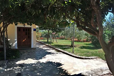 Ferienhaus mit Garten und Grill