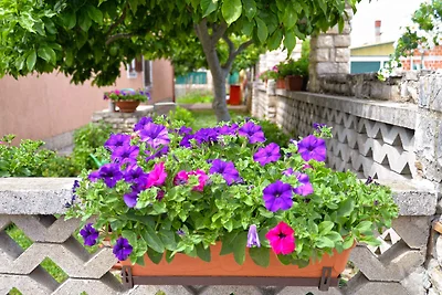 Ferienwohnung mit Klimaanlage