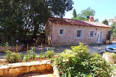 Ferienhaus mit Terrasse und Grill