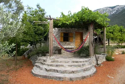 Studio mit Internet und Garten