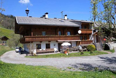 Ferienwohnung mit Blick auf die Zillertaler