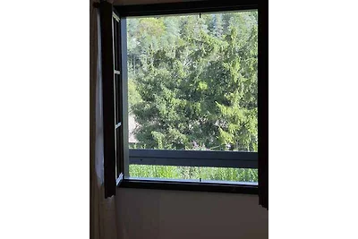 Ferienwohnung nur 400m vom See entfernt