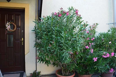 Ferienwohnung mit Garten und Grill