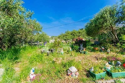 Charmantes Apartment Opsenica in Barbat auf d