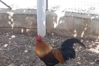 Kuća za odmor Dopust za oporavak Ispica