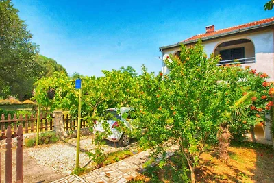 Ferienwohnung mit Terrasse