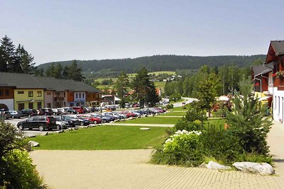 Ferienhaus am Lipno-Stausee