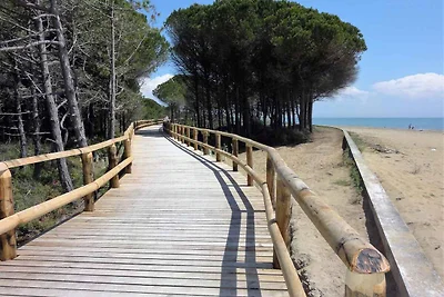 Ferienwohnung in der Strandenähe