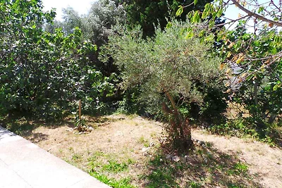 Appartamento Vacanza con famiglia Punat