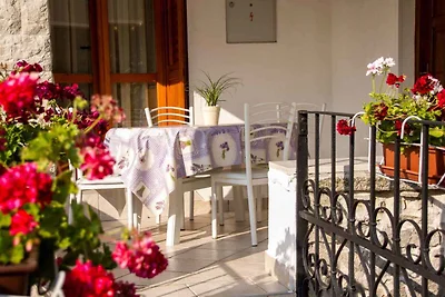 Ferienhaus mit Swimmingpool umgeben von Natur