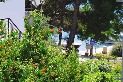 Ferienhaus mit gemütlicher Terrasse gleich in