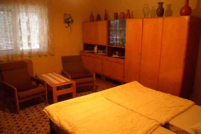 Vakantiehuis Ontspannende vakantie Balatonfenyves