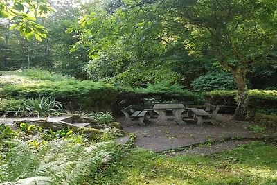 Ferienhaus mit Terrasse und wunderschönen Aus