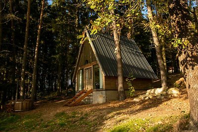 Hütte mit Kamin und beheiztem Aussenfass