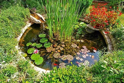 Ferienwohnung mit Klimaanlage und Terrasse