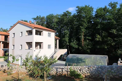 Appartamento Vacanza con famiglia Dobrinj