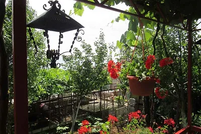 Appartamento Vacanza con famiglia Novi Vinodolski