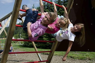 Vakantiehuis Ontspannende vakantie St. Peter am Kammersberg