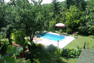 Ferienwohnung mit Pool