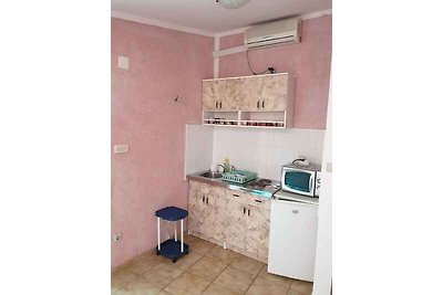 Apartament Dla rodzin Vir