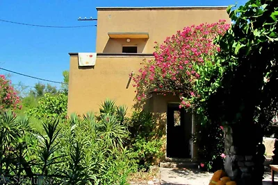 Ferienhaus 20 m zum Strand mit Terrasse
