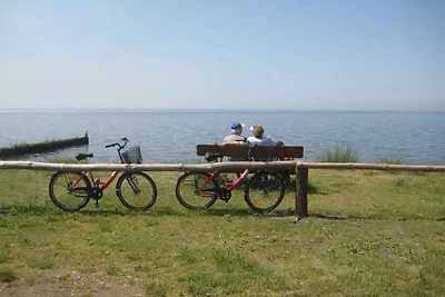 Ferienwohnung mit überdachter Terrasse