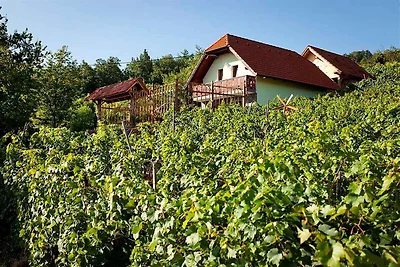 Ferienhaus im Weinberg