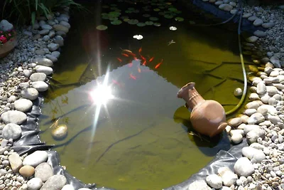 Ferienwohnung mit Garten und Pool