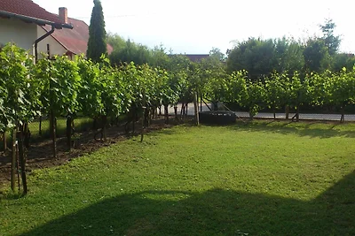 Vakantiehuis Ontspannende vakantie Balatonfenyves