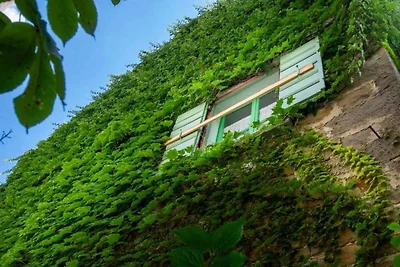 Apartament Dla rodzin Momjan