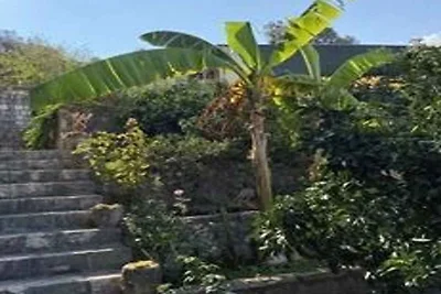 Casa vacanze Vacanza di relax Vela Luka