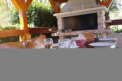 Appartamento Vacanza con famiglia Privlaka