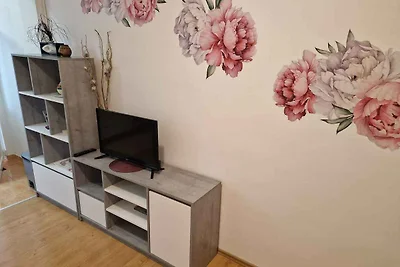 Ferienwohnung mit Klimaanlage und WLAN