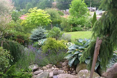 Bungalow mit Aussicht und Aussenpool