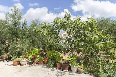 Ferienwohnung mit Pool und Klimaanlage