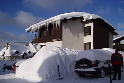 Ferienwohnung Im Skiegebiet