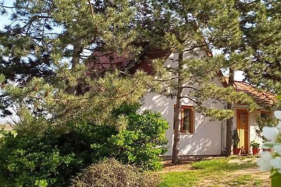 Ferienhaus mit Panorama und Internet