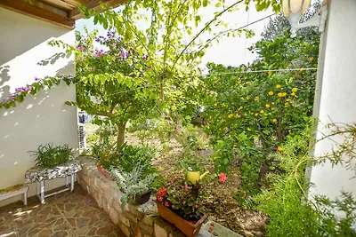 Kuća za odmor Dopust za oporavak Mali Iž