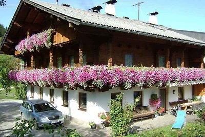 Ferienwohnung mit Blick auf die Zillertaler