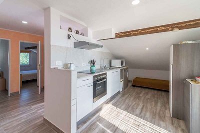 Vakantieappartement Gezinsvakantie Karin Gornji