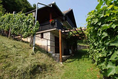 Ferienhaus mit Balkon und Garten