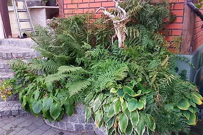 Ferienhaus mit Garten und eigenem Schwimmbad
