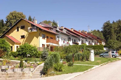 Appartamento Vacanza con famiglia Lipno nad Vltavou
