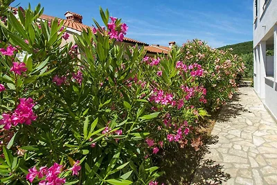 Ferienwohnung mit Klimaanlage