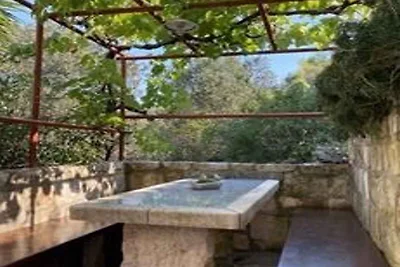 Casa vacanze Vacanza di relax Vela Luka