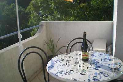 Appartamento Vacanza con famiglia Crikvenica