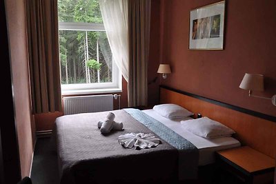 Hotelzimmer in Erzgebirge in der Nähe Klínove